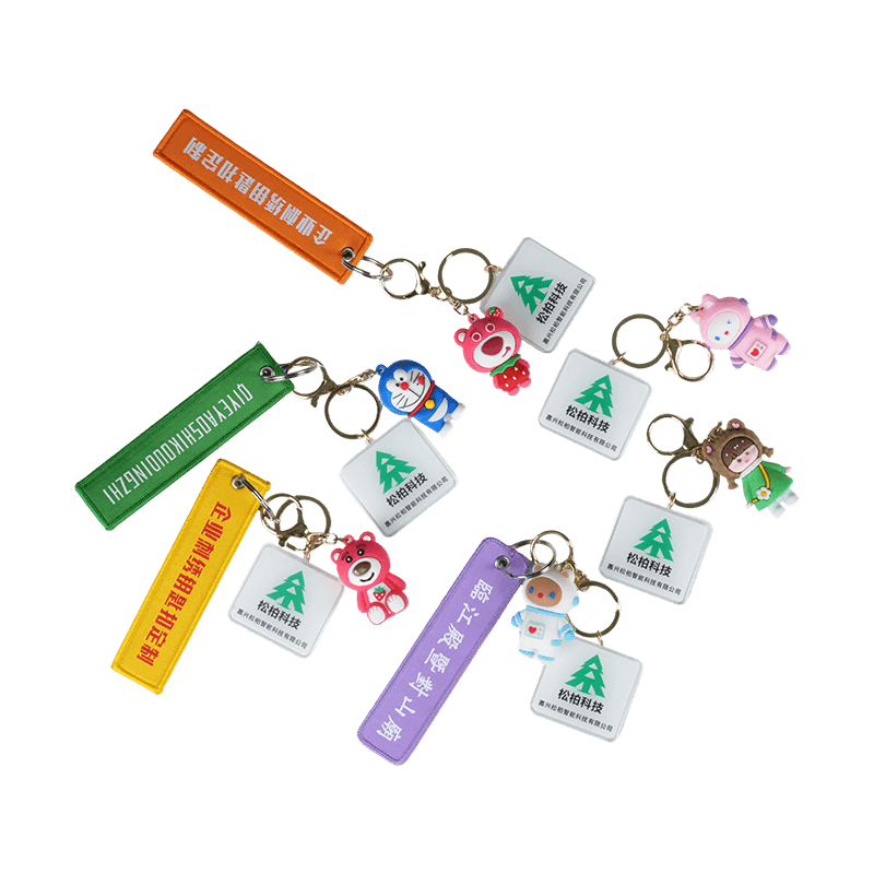 3D blød PVC & Silikone støbte nøgleringe / nøglering charms